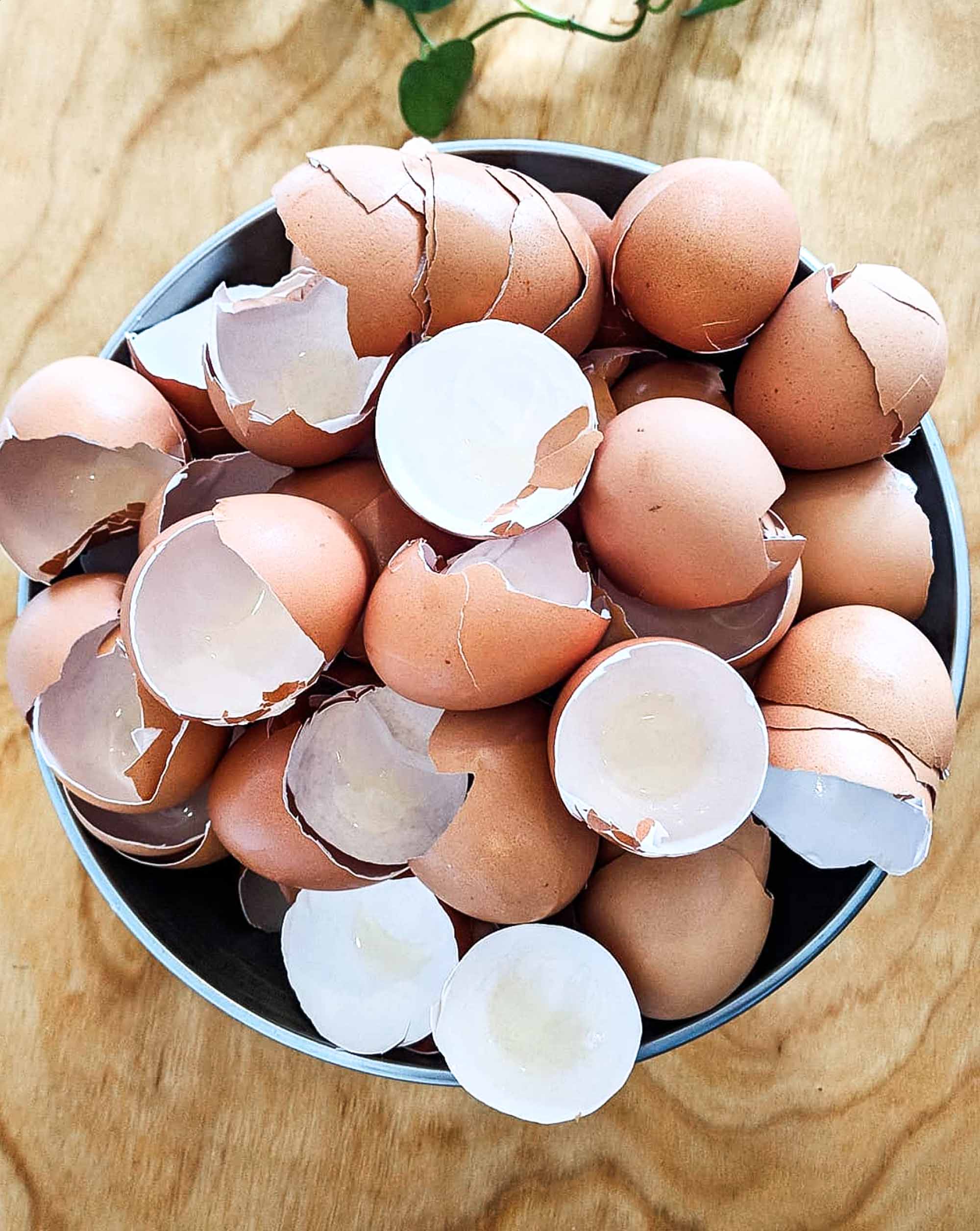 calcium eggshells