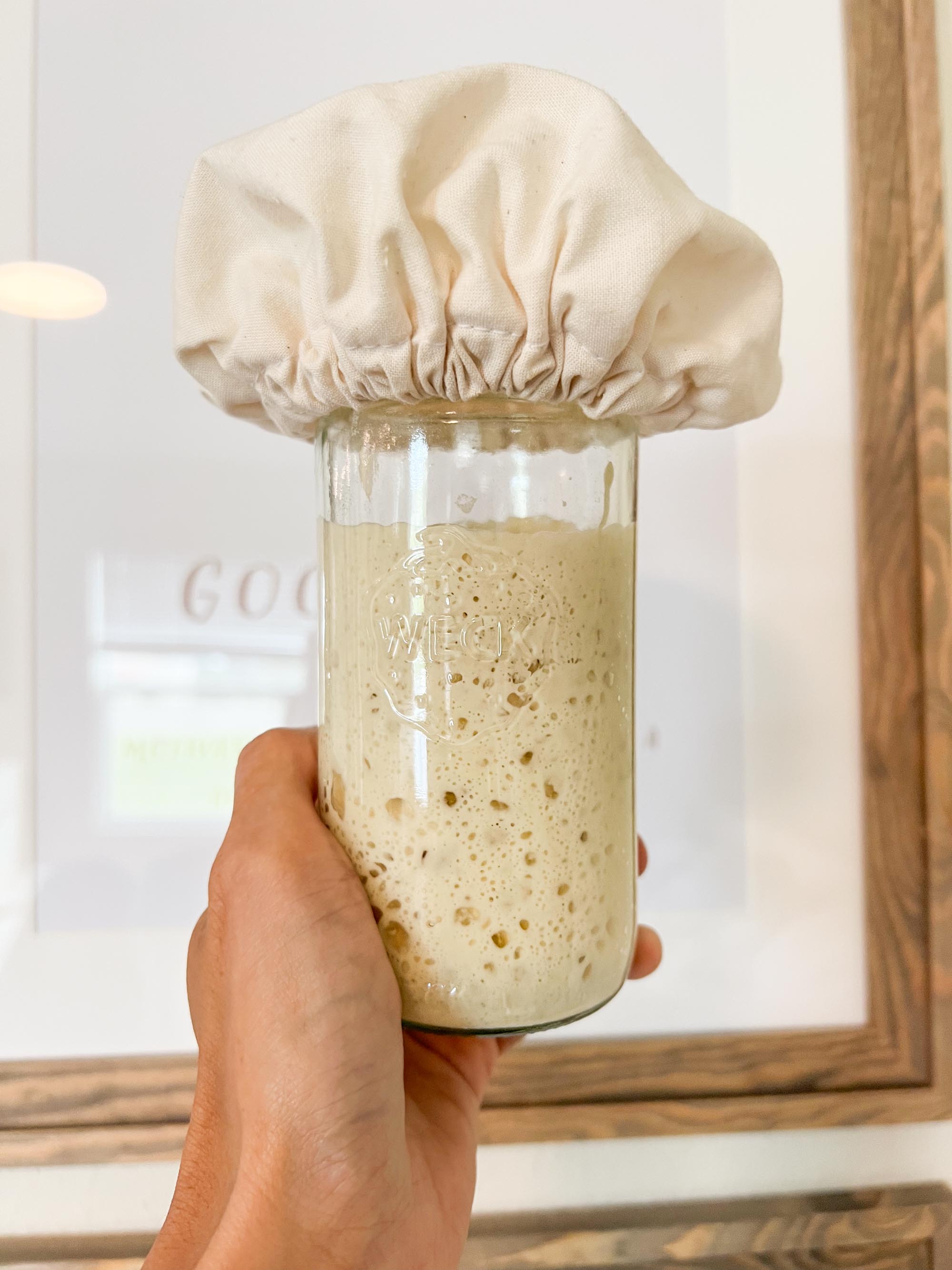 sourdough starter