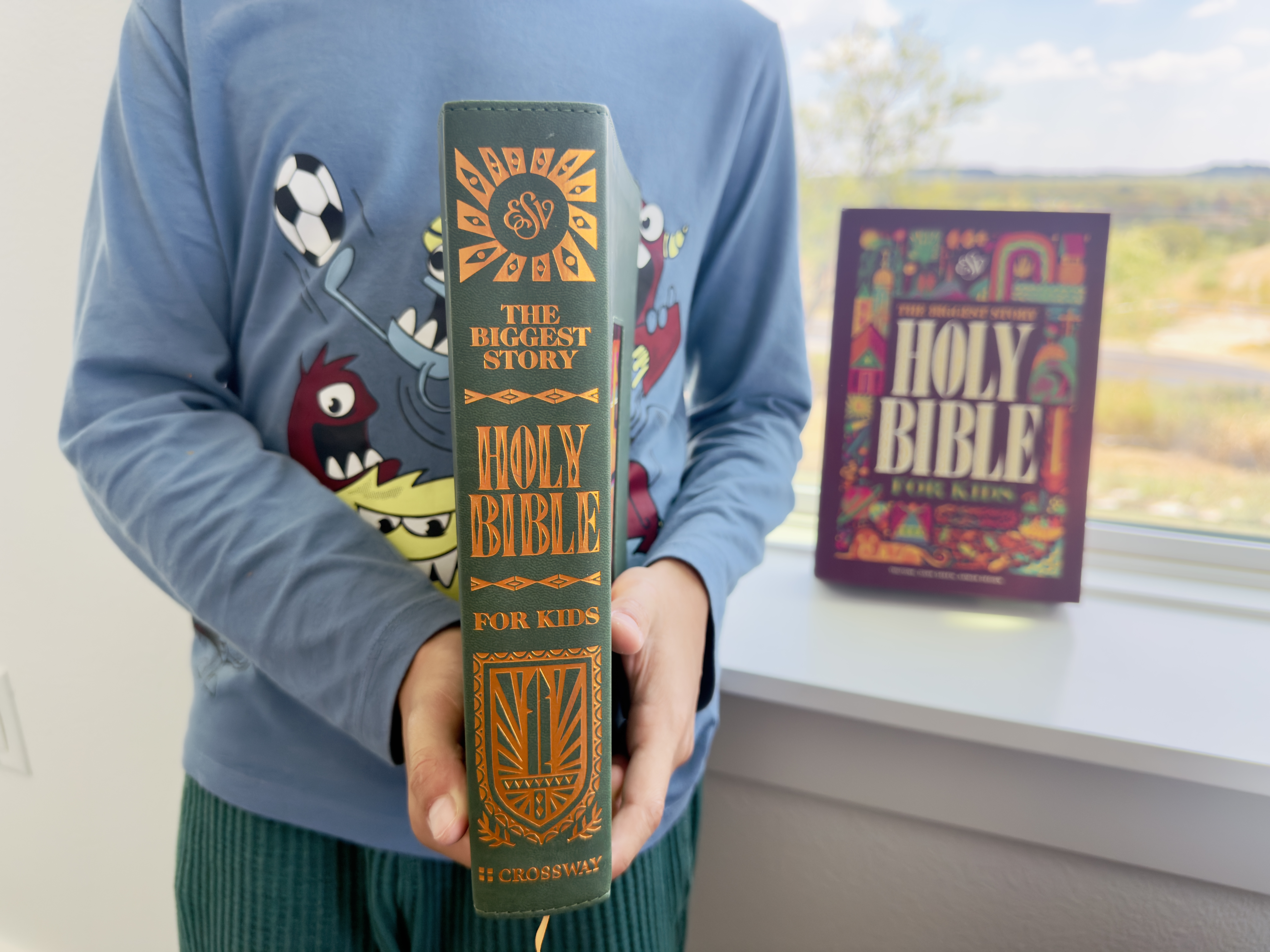 The Biggest Story The Holy Bible For Kids